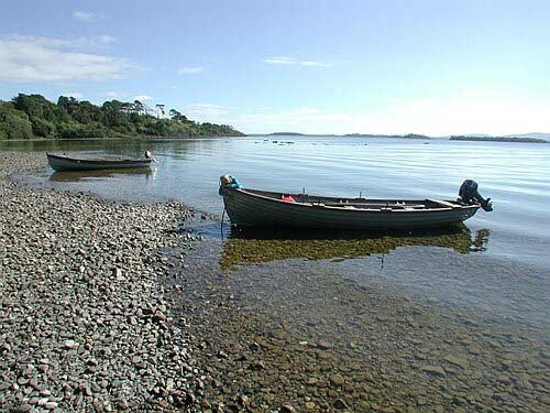 DSCN2285.JPG