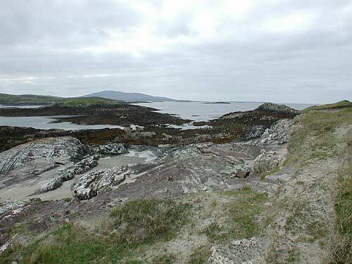 DSCN2318.JPG